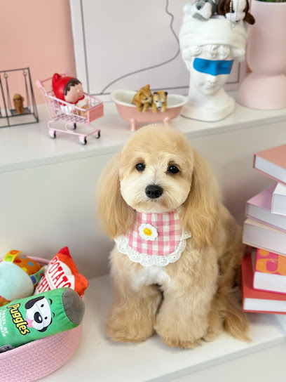 UniPets Grooming & SPA | Bukit Jalil Pet Shop