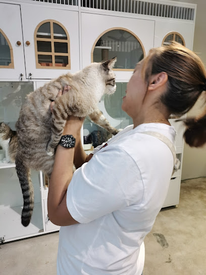 MEOW’S INN Cat Hotel & Grooming
