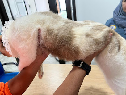 Marlo and Friends Pet Shop - Cat Boarding Hotel & Grooming Services